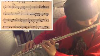 Yardbird Suite 210bpm charlie parker  jazz flute cover  with score [upl. by Edith406]