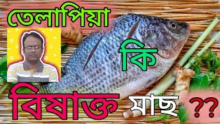 🔥 তেলাপিয়া মাছের বিপদ। 🔥 Experts Says To Avoid Eating Tilapia Why [upl. by Solly409]