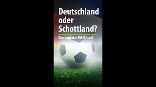 Deutschland oder Schottland Wir fragten das Balinger EMOrakel [upl. by Hareehat]