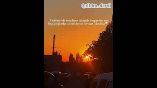 Tushlarimda koradigan darajada sevgandim youtubeshorts sad heartbroken love sadheartbroken [upl. by Adnohsel]