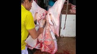 Big Size Cow Legs Cutting Process meat beef shorts [upl. by Eillod921]