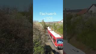 Vier DB Regioshuttle quotFachwerkICEquot auf der Ammertalbahn [upl. by Leslie105]