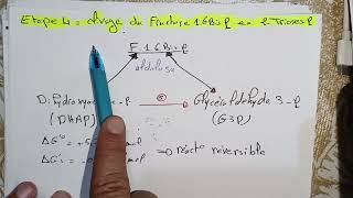 biochimie métabolique svi s4  Glucides 02 résumé détaillé بالعربية [upl. by Ariana815]