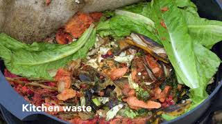 8 week time lapse of Wormery Kitchen waste being turned into compost [upl. by Assirk]