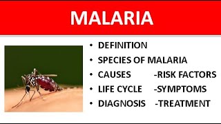 Malaria symptoms causes species and treatment of malaria in HindiUrdu  Medical Lectures [upl. by Anurag]