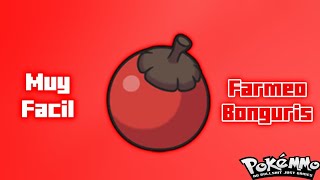 Farmeo de bonguris en jotho 🤑  PokeMMO [upl. by Zucker116]