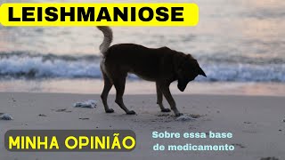 Leishmaniose essa base para tratamento minha opinião [upl. by Renae]