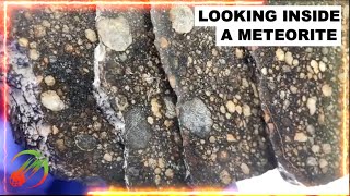 Meteorite Slices Showing Chondrules ☄️ in hand amp under microscope  type LL3 Chondrite [upl. by Argyle]