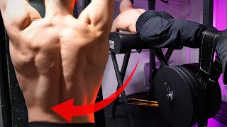 Reverse Hyperextension Training Secrets [upl. by Aneles369]