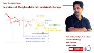 Importance of Phosphorylated Intermediates Lehninger [upl. by Langille]