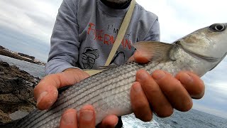 PESCA AL CEFALO Montatura Galleggiante Piombato per Pescare in Mare [upl. by Fernando]