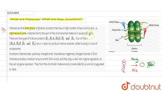 What are histones What are their functions [upl. by Ennazus]