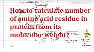 When is the side chain of an amino acid protonated [upl. by Llennoj]