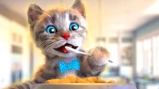 Cartoon Animation Little Kitten Adventure  Fun Educational Learning Cat Story for Kids [upl. by Sremlahc]