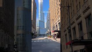 CHICAGO 🇺🇸 usa illinois chicagoland usashorts chitown travel chicago usatravel usashorts [upl. by Laurena]