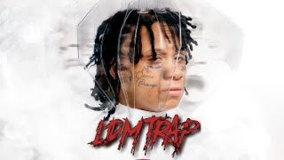 trippie redd  snake skin InstrumentalRemake Prod By LDM TRAP [upl. by Godspeed810]