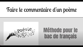 Faire le commentaire dun poème  Méthode bac de français [upl. by Aeila]