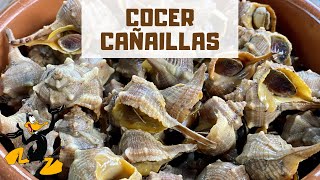 3 TRUCOS para Cocer Cañaíllas 🤤 ¡CARACOLES DE MAR [upl. by Tabib]