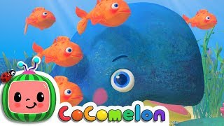 Baby Blue Whale Song  CoComelon Nursery Rhymes amp Kids Songs [upl. by Pernas]