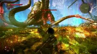 The Witcher 2 2  Matando Boss Kayran [upl. by Adnilav217]