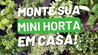 Como Montar uma Mini Horta Dicas para Harmonizar Ervas em Vasos e Jardineiras [upl. by Weidman]