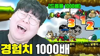 하다하다 경험치 1000배 드롭율 1000배 메이플스토리 서버 ㅋㅋㅋ 테스터훈 [upl. by Patience784]