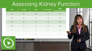 Assessing Kidney Function Glomerular Filtration Rate GFR Nephrology Lecturio [upl. by Laet460]