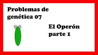 OPERÓN lac control positivo y negativo explicación completa operon lactosa y triptofano [upl. by Eniala]