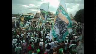 Torcida Gamense  Aquecimento Ira Jovem Gama  Gama x Brasiliense [upl. by Notreve]