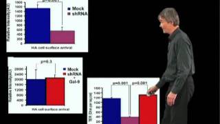 Kai Simons MPI Part 3 Biogenesis of glycolipidrich apical membranes [upl. by Holofernes]