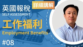 英國報稅詳細示範 8  工作褔利  英國稅務 Self Assessment  SA102  住屋  公司車  油錢  醫療保險  里數補貼  P11D [upl. by Bang945]