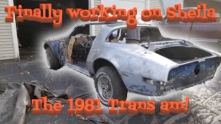 Finally working on Sheila the 1981 Trans Am [upl. by Ezana143]