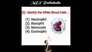 Lab Technician Questions ⚕️ MLT MCQ 🧫 MLT Pathshala ❣️ Hematology MCQ [upl. by Qifar]