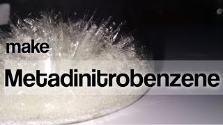 13 Dinitrobenzene Metadinitrobenzene Synthesis [upl. by Dennie]