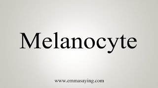 How To Say Melanocyte [upl. by Bertilla]