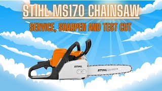 Stihl MS170 Chainsaw Service Spark Arrestor Clean Out  And Chain Sharpen [upl. by Arlyn520]