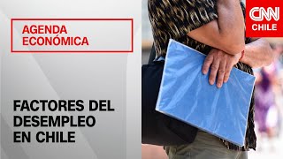 Tasa de desempleo en Chile alcanza el 87  Agenda Económica [upl. by Nazus]