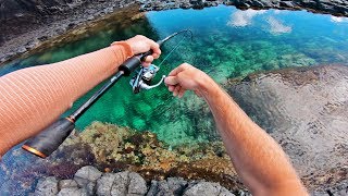 Amazing Fishing in Crystal Clear Rock Pools [upl. by Ori]