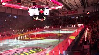 Luleå Hockey Intro 20182019 HELA Coop Arena Delfinen Ljusshow HD [upl. by Ennairb]