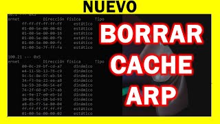 ✅ Como BORRAR el CACHE de mi PC en Windows 11 10 8 7 y XP 🔴 Limpiar Optimizar y Acelerar [upl. by Osbourn507]