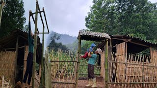 19 year old single mother  builds bamboo fence around house  makes gateTriệuMùiMùi [upl. by Halian947]