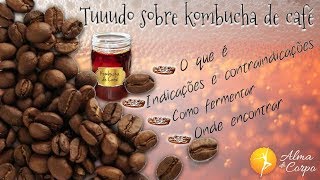 Tuuudo sobre kombucha de café o que é contraindicações como fazer onde encontrar ☕ [upl. by Eilyk]