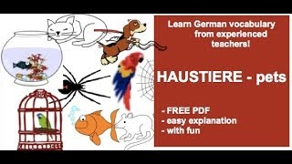 Learn German vocabulary Tiere Haustiere  pets [upl. by Ahsennod]