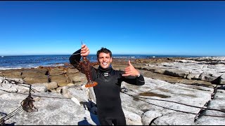 Catching WEST COAST ROCK LOBSTER in Cape Town waters [upl. by Nivrad]