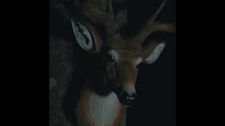 I Touched a Deer Music Video [upl. by Etteniotnna]