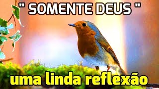 Linda Mensagem de Bom Dia  SOMENTE DEUS I Linda Reflexão [upl. by Enisamoht263]