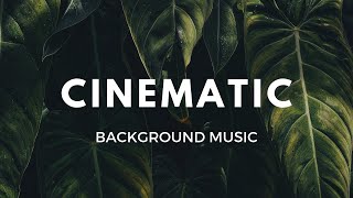 Energetic Rock 30 sec  RoyaltyFree Background Music  Cinematic [upl. by Parke]