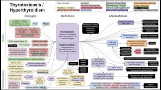 Hyperthyroidism  thyrotoxicosis mechanism of disease [upl. by Anairo739]