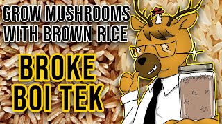 EASIEST Way to Grow Mushrooms  Broke Boi Tek [upl. by Aelber]