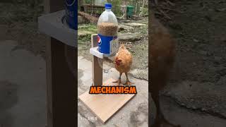 Amazing Chicken feeder machines 😱 [upl. by Illom]